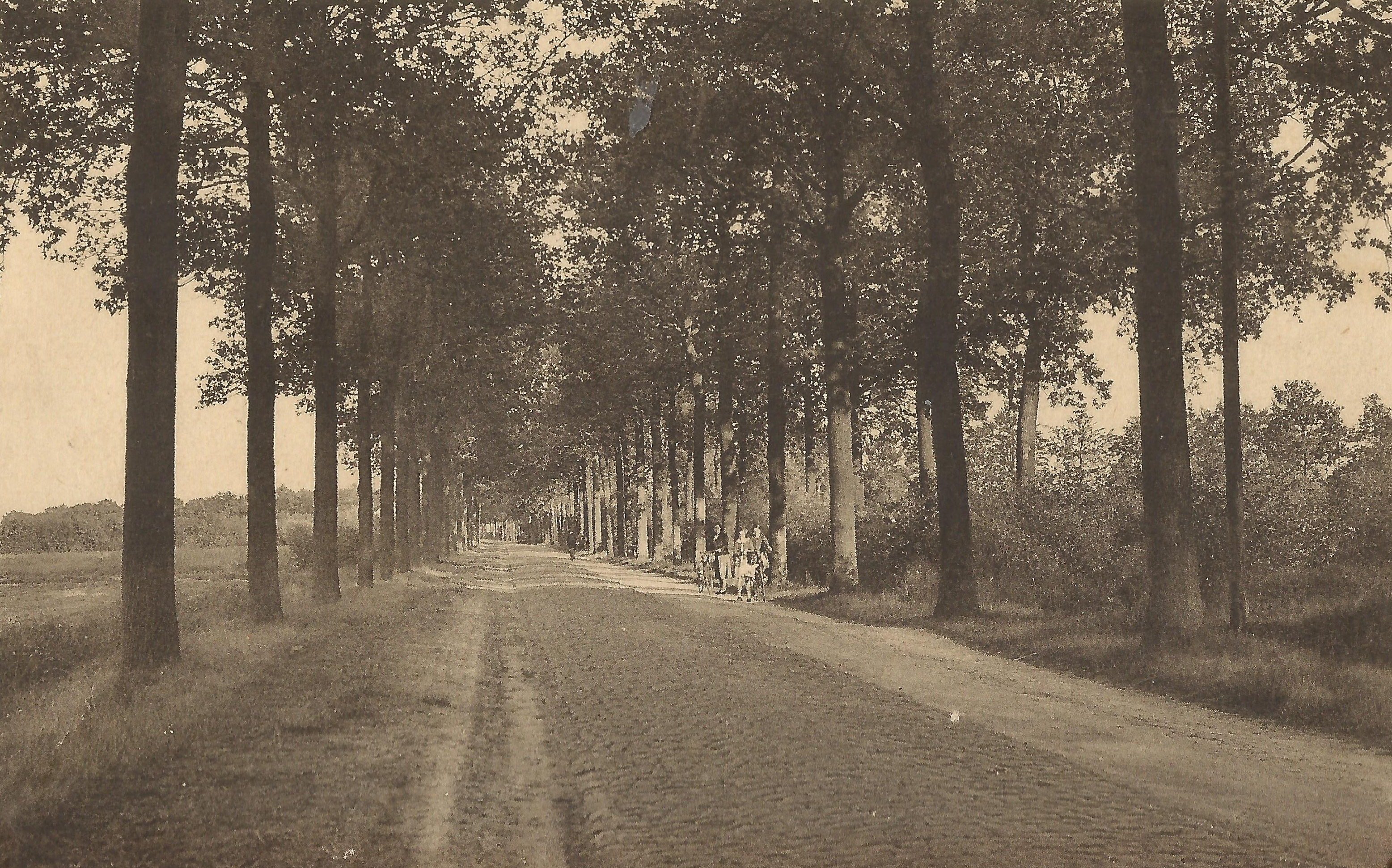 47 steenweg van Dorp naar Ploeg Halle 1950 ORIGINEEL